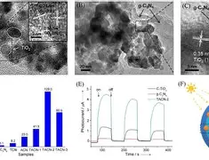 今年会体育 -关于?z?1焥岼g癍粰?g;I昞迦棸s欰?*?Ut艭跃J∪的信息
